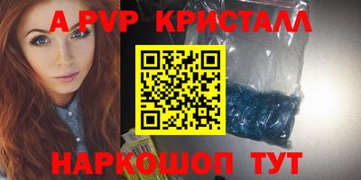 крисы Кингисепп
