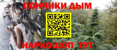 крисы Кингисепп