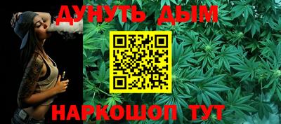 крисы Кингисепп