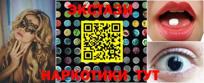 крисы Кингисепп