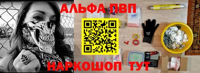 крисы Кингисепп