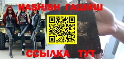 крисы Кингисепп