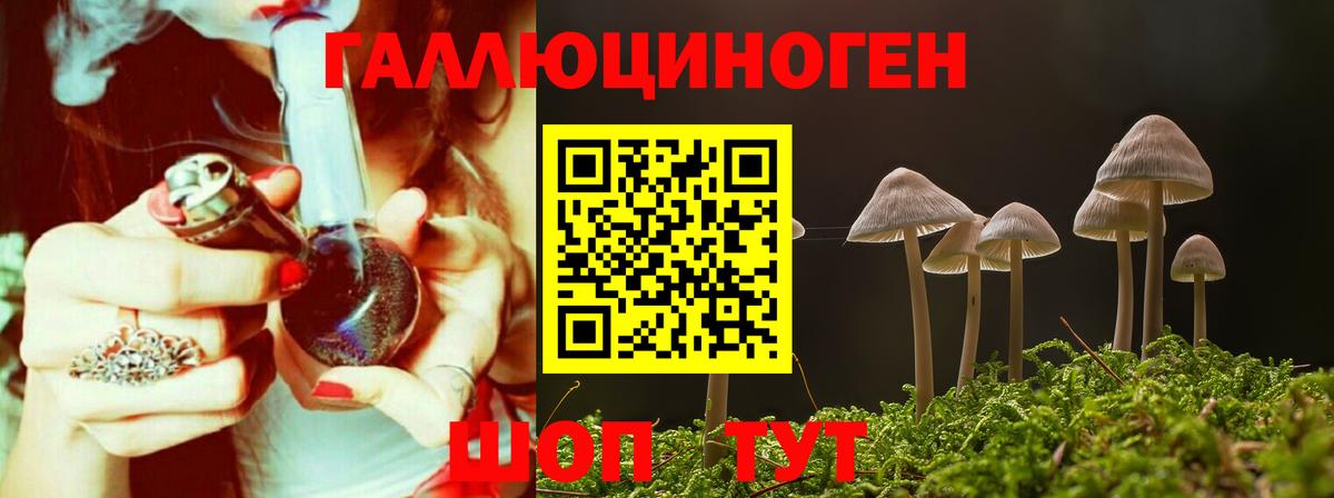 Псилоцибиновые грибы GOLDEN TEACHER  Вход с VPN  где купить   Кропоткин 
